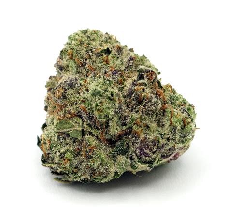 Backstory Afghani is a heavy indica strain named for its region of origin. . Gypsy soap strain leafly